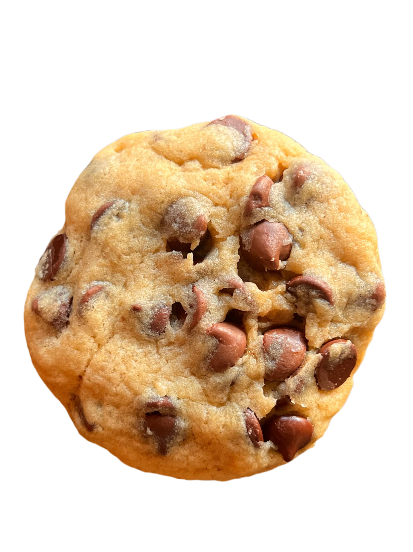 Gluten Free Vegan Chocolate Chip Cookie