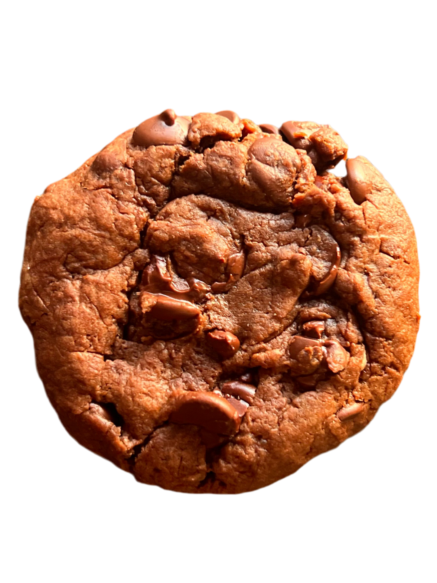 Vegan Double Chocolate Chip Cookie