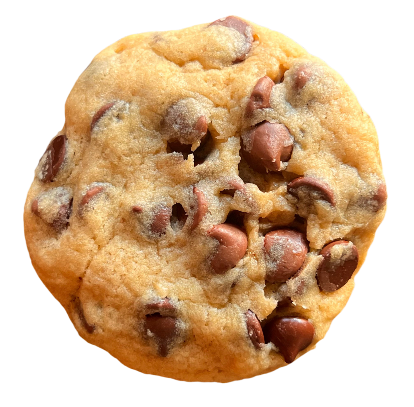 Vegan Chocolate Chip Cookies