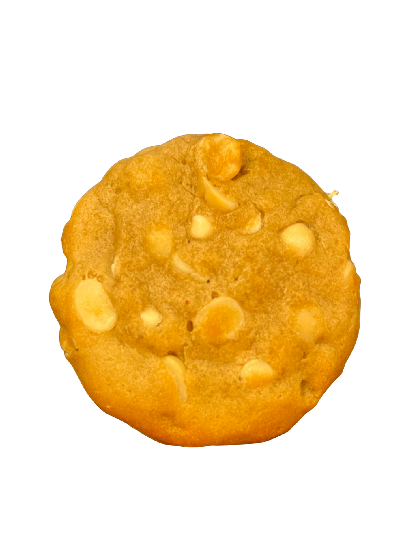 White Chocolate Macadamia Nut Vegan Cookie